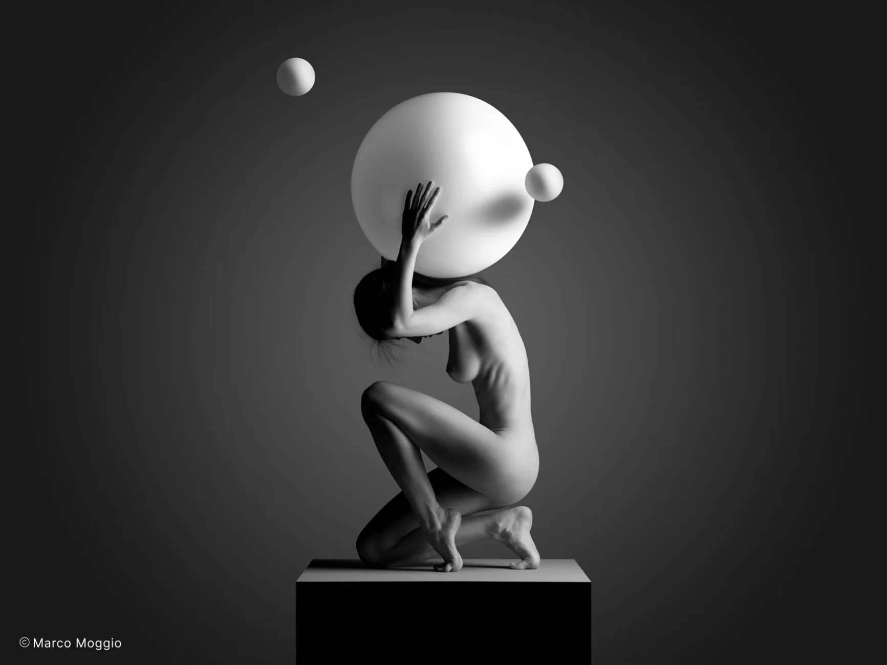 Conceptual & Fine Art